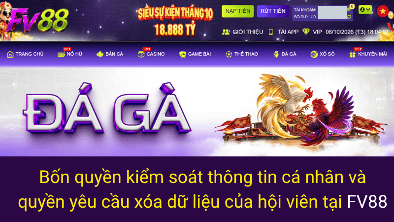 Bốn quyền kiểm soát thông tin cá nhân và quyền yêu cầu xóa dữ liệu của hội viên tại FV88 